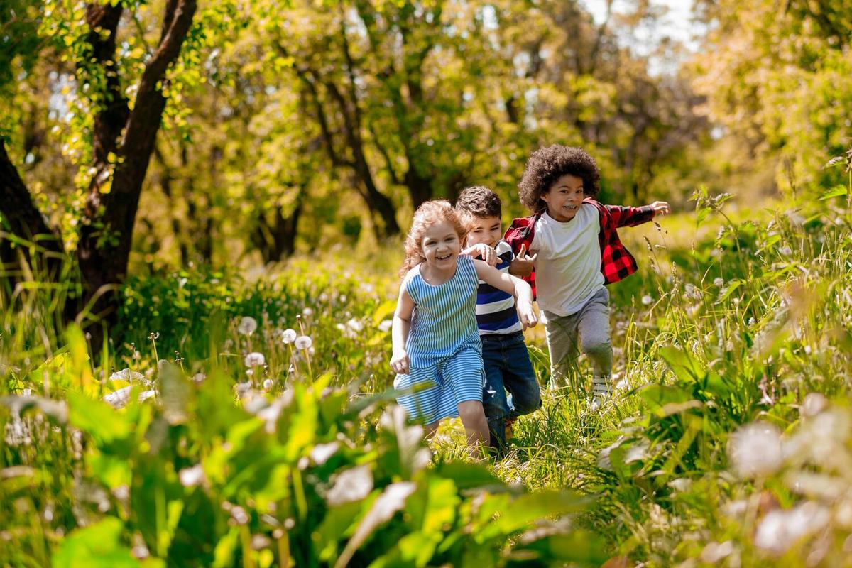 The Importance of Outdoor Play for Child Development