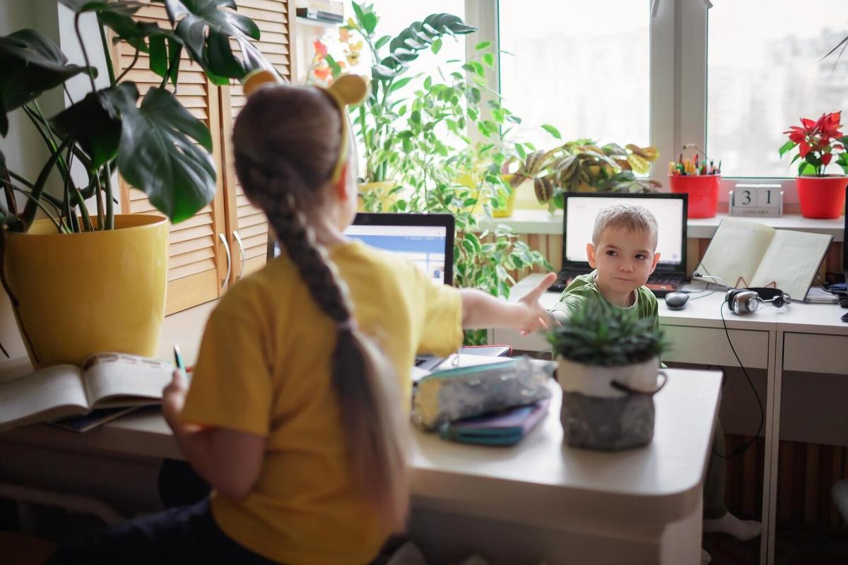 Strategies for Homeschooling in a Digital Era