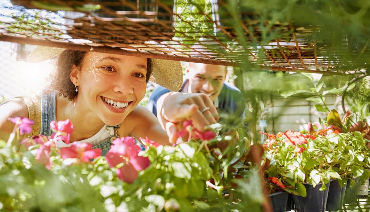 Green Gardening: Tips for an Eco-Conscious Backyard